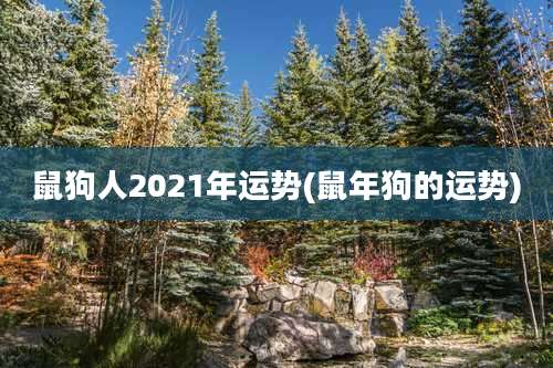鼠狗人2021年运势(鼠年狗的运势)