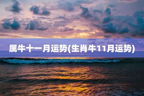 属牛十一月运势(生肖牛11月运势)