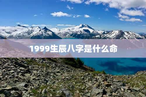 1999生辰八字是什么命