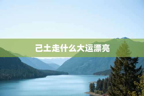 己土走什么大运漂亮