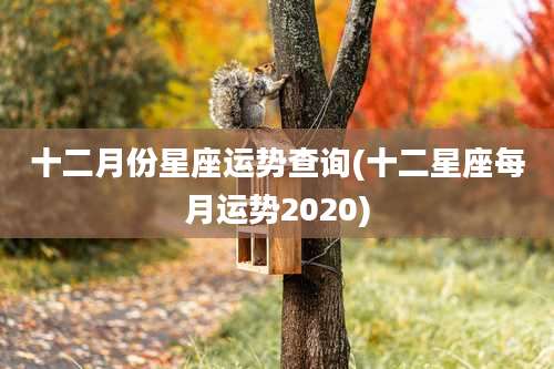十二月份星座运势查询(十二星座每月运势2020)