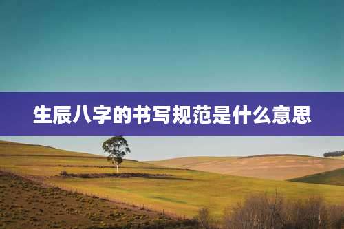 生辰八字的书写规范是什么意思