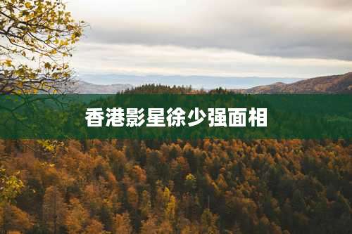 香港影星徐少强面相