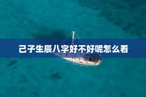己子生辰八字好不好呢怎么看