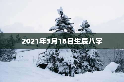 2021年3月18日生辰八字