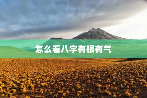 怎么看八字有根有气
