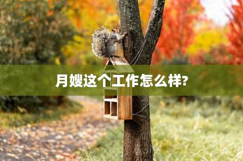 月嫂这个工作怎么样?