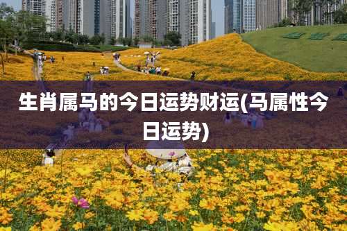 生肖属马的今日运势财运(马属性今日运势)