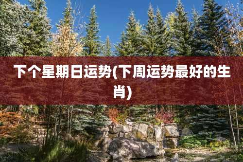 下个星期日运势(下周运势最好的生肖)