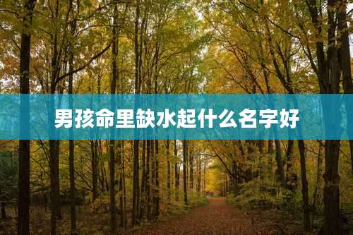 男孩命里缺水起什么名字好