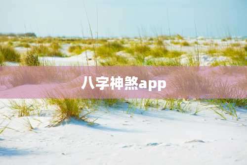 八字神煞app