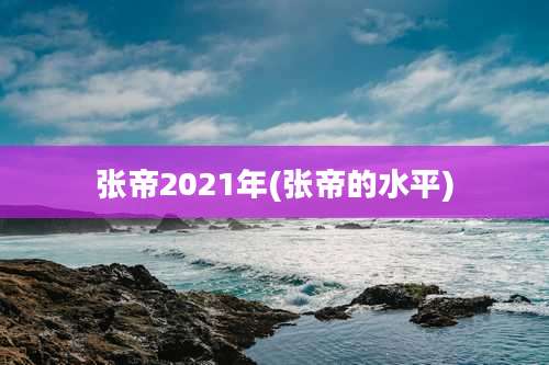 张帝2021年(张帝的水平)