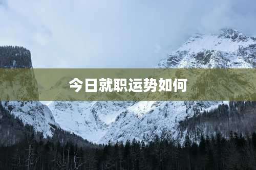 今日就职运势如何