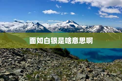 面如白银是啥意思啊