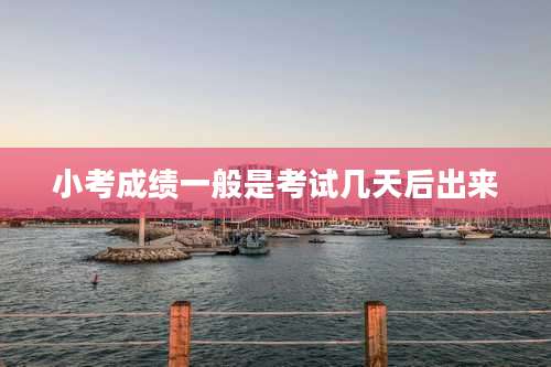 小考成绩一般是考试几天后出来