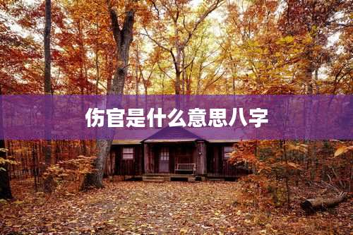 伤官是什么意思八字