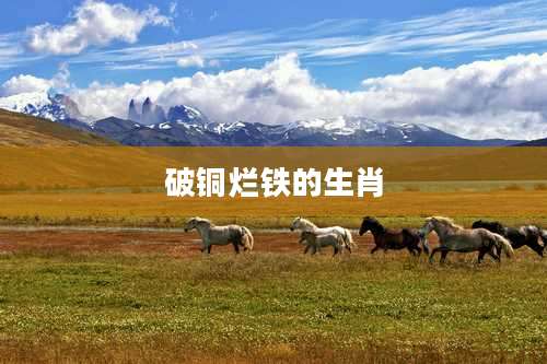 破铜烂铁的生肖