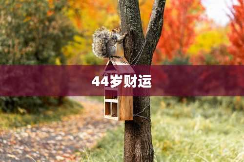 44岁财运