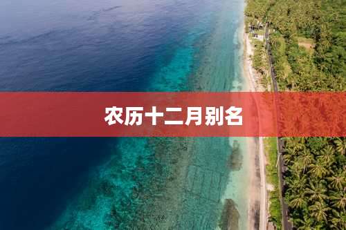 农历十二月别名