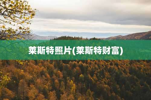 莱斯特照片(莱斯特财富)