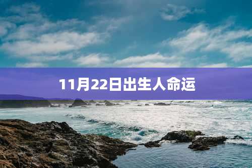 11月22日出生人命运