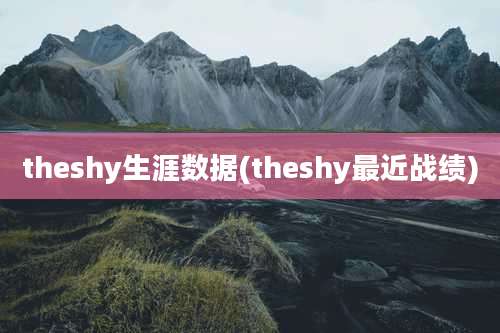 theshy生涯数据(theshy最近战绩)