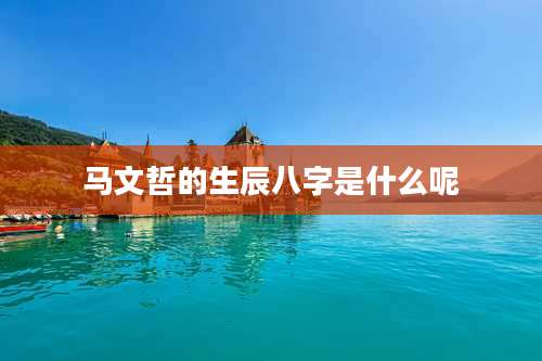 马文哲的生辰八字是什么呢