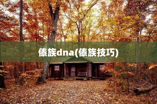 傣族dna(傣族技巧)