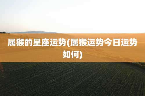 属猴的星座运势(属猴运势今日运势如何)