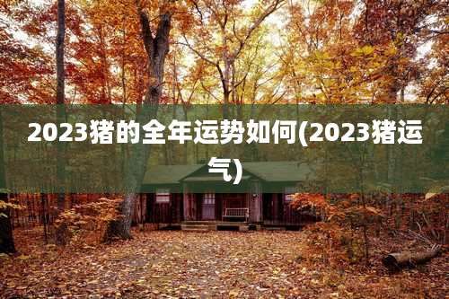 2023猪的全年运势如何(2023猪运气)