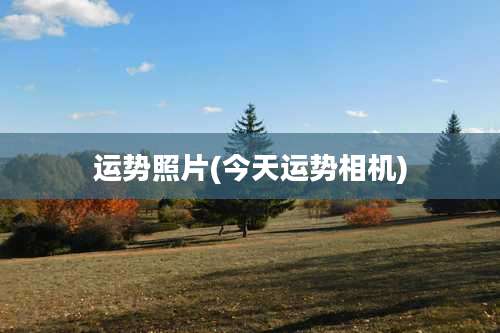 运势照片(今天运势相机)