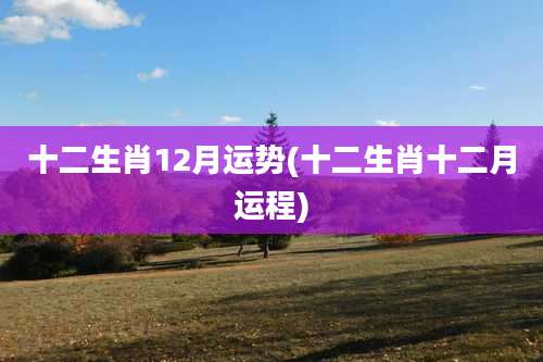 十二生肖12月运势(十二生肖十二月运程)