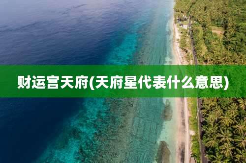 财运宫天府(天府星代表什么意思)