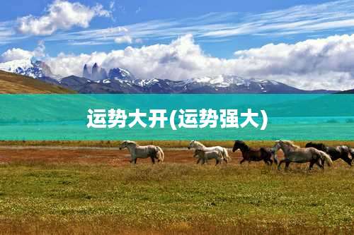 运势大开(运势强大)