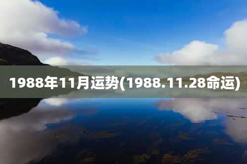 1988年11月运势(1988.11.28命运)