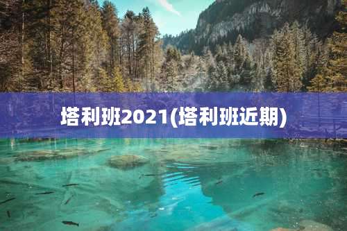 塔利班2021(塔利班近期)