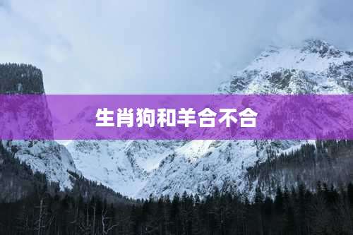 生肖狗和羊合不合