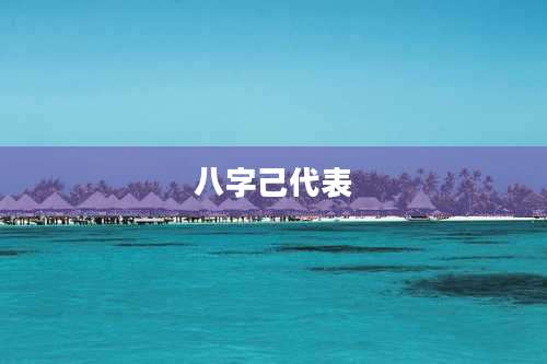 八字己代表