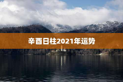 辛酉日柱2021年运势