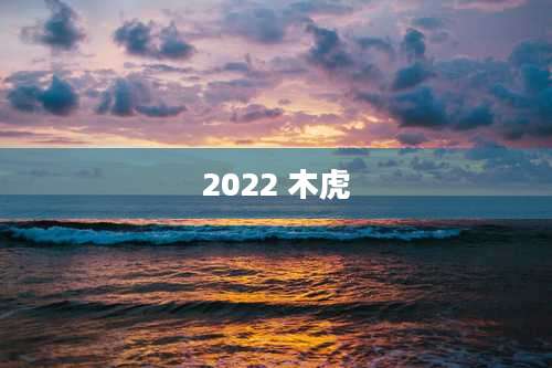 2022 木虎