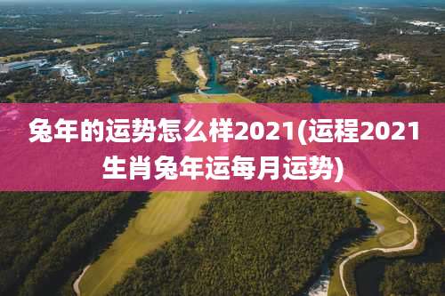 兔年的运势怎么样2021(运程2021生肖兔年运每月运势)