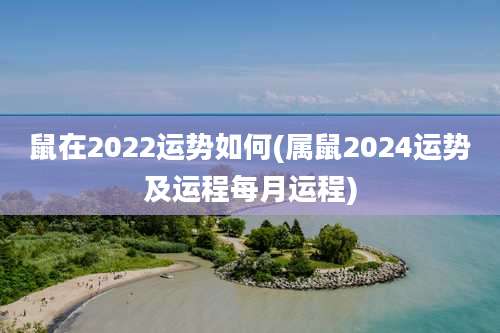 鼠在2022运势如何(属鼠2024运势及运程每月运程)