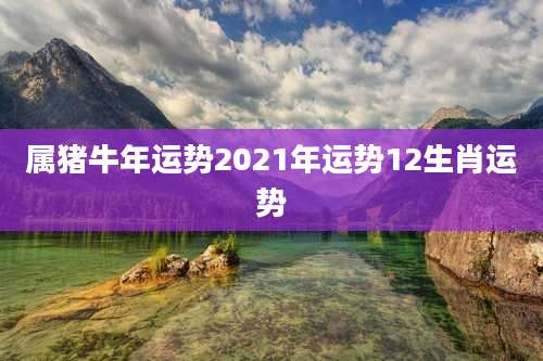 属猪牛年运势2021年运势12生肖运势