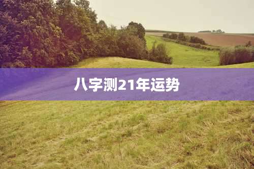 八字测21年运势