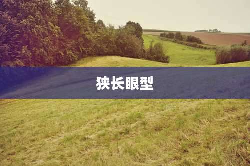 狭长眼型