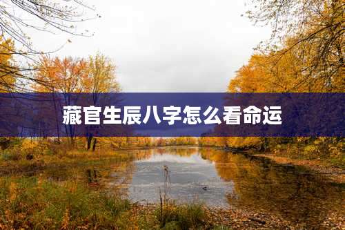 藏官生辰八字怎么看命运