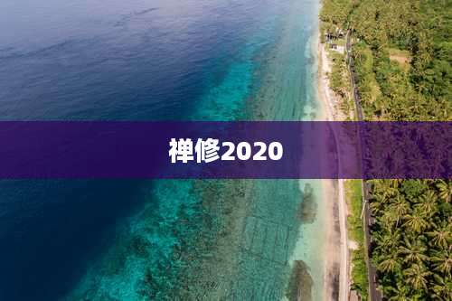 禅修2020