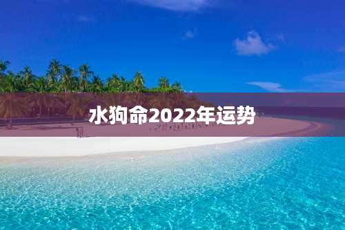 水狗命2022年运势