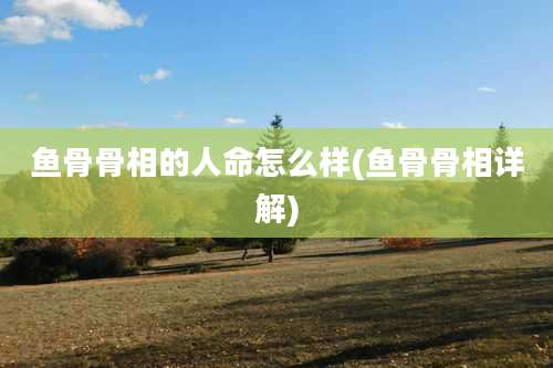 鱼骨骨相的人命怎么样(鱼骨骨相详解)
