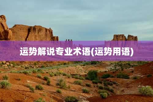 运势解说专业术语(运势用语)